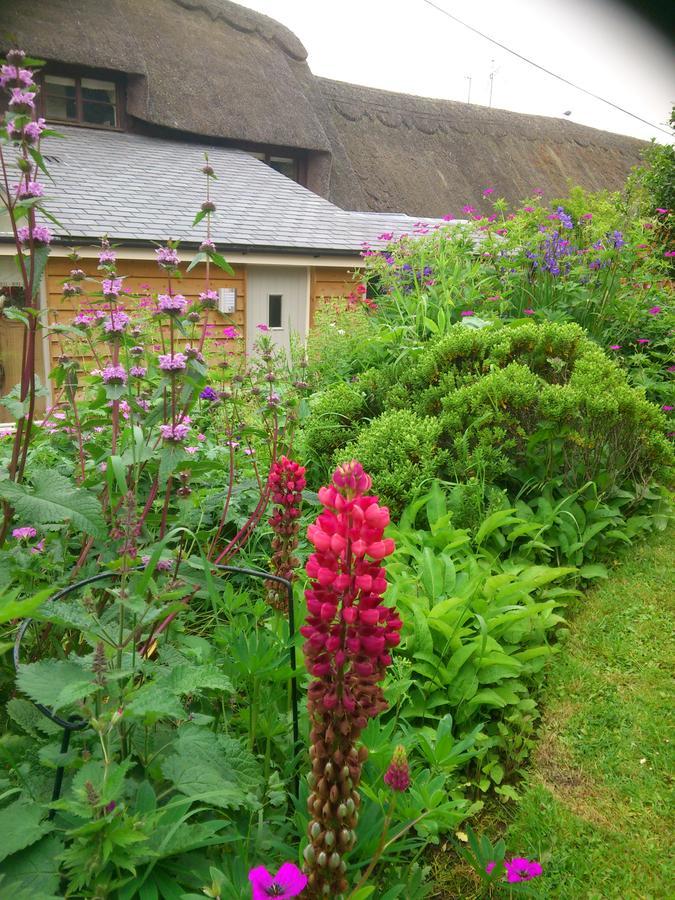The Steppes Holiday Cottages Hereford Exterior foto